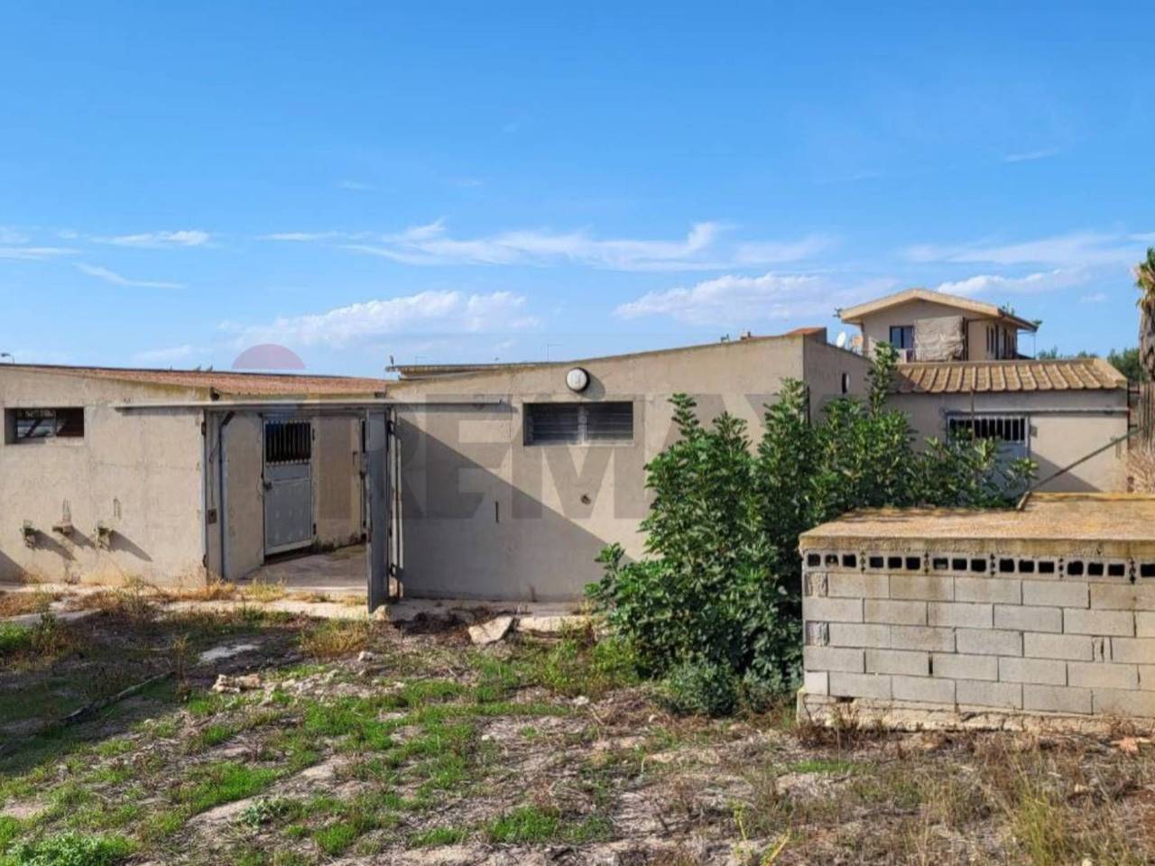 immagine annuncio 3 di 12