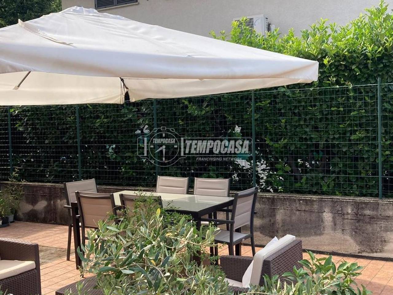 immagine annuncio 3 di 14