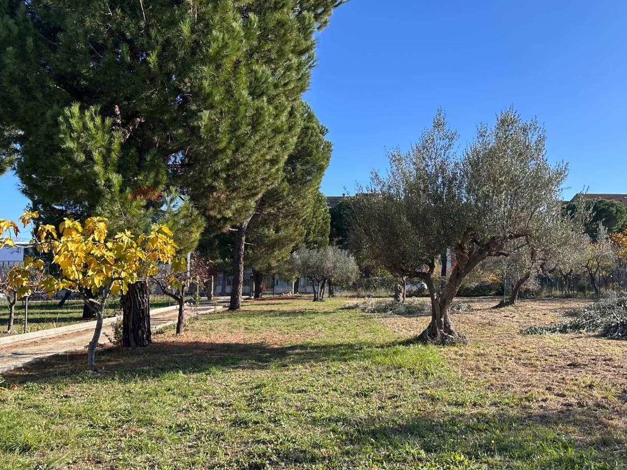 immagine annuncio 3 di 6