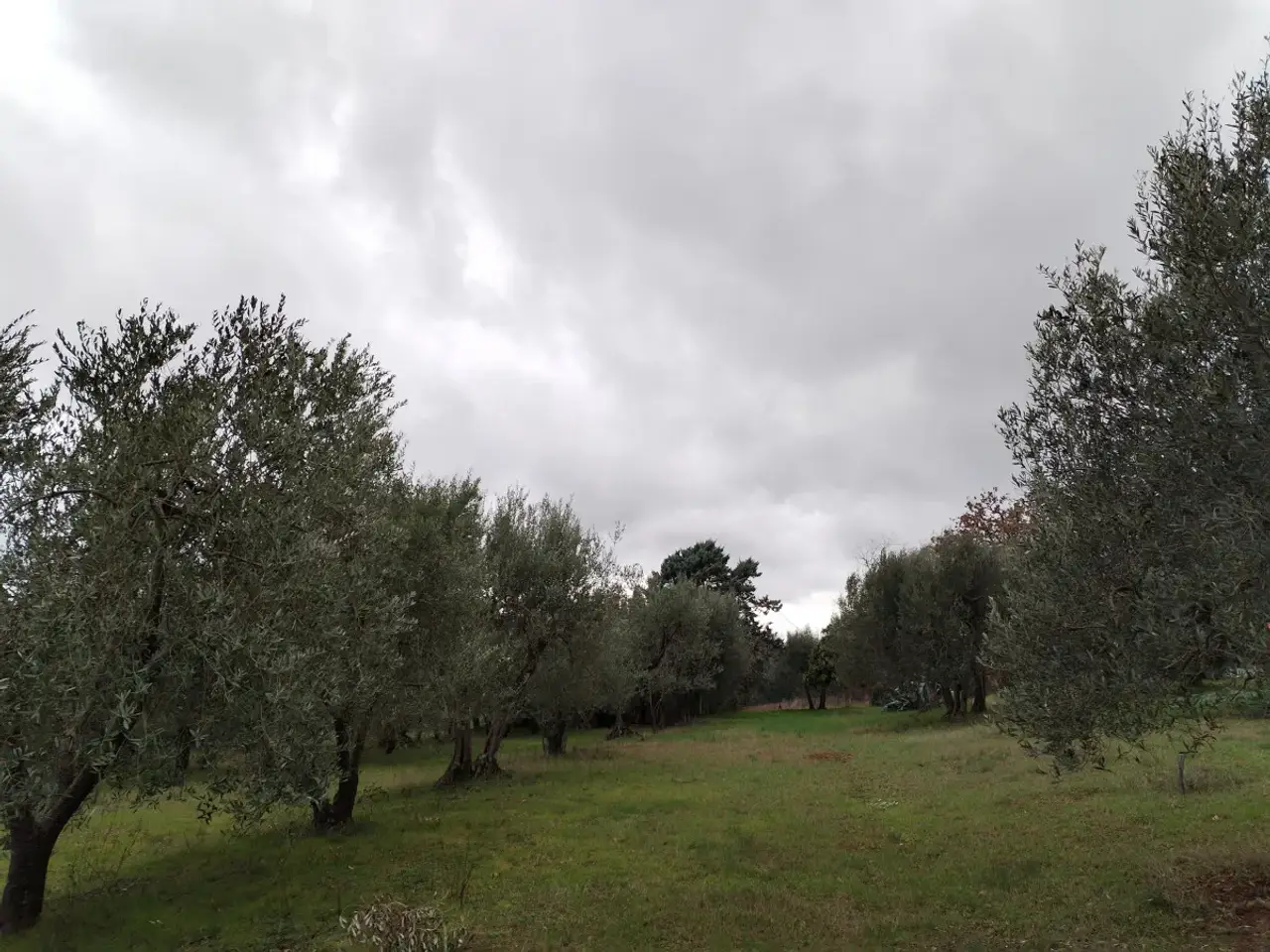 Magazzino in , Perugia, {3} - Foto 1