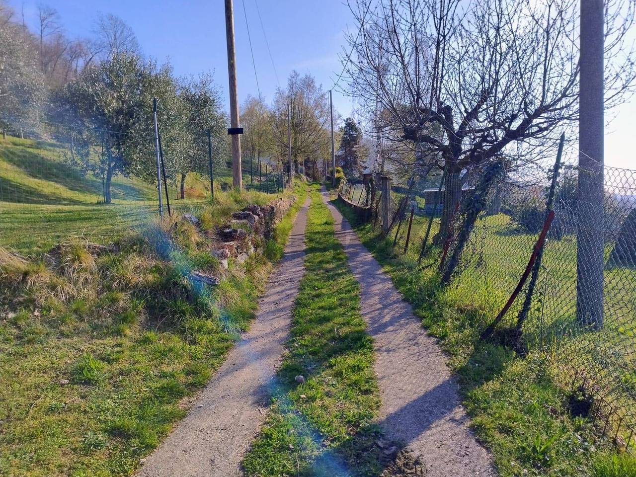 immagine annuncio 10 di 11