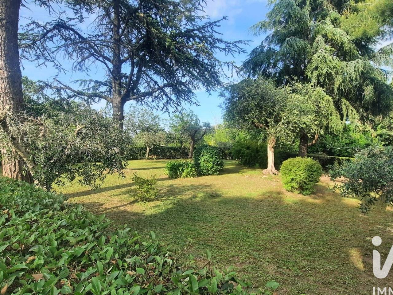 immagine annuncio 2 di 14