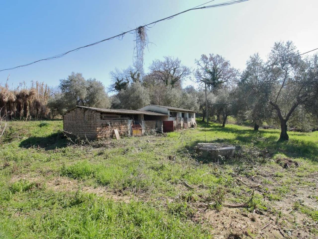 immagine annuncio 2 di 15