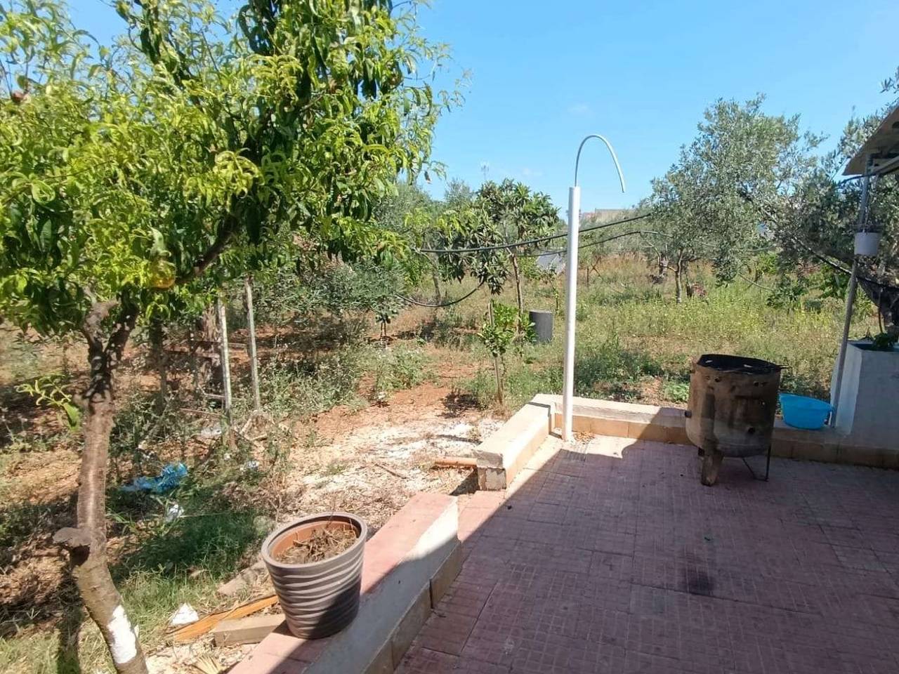 immagine annuncio 1 di 2