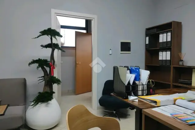 insertion image