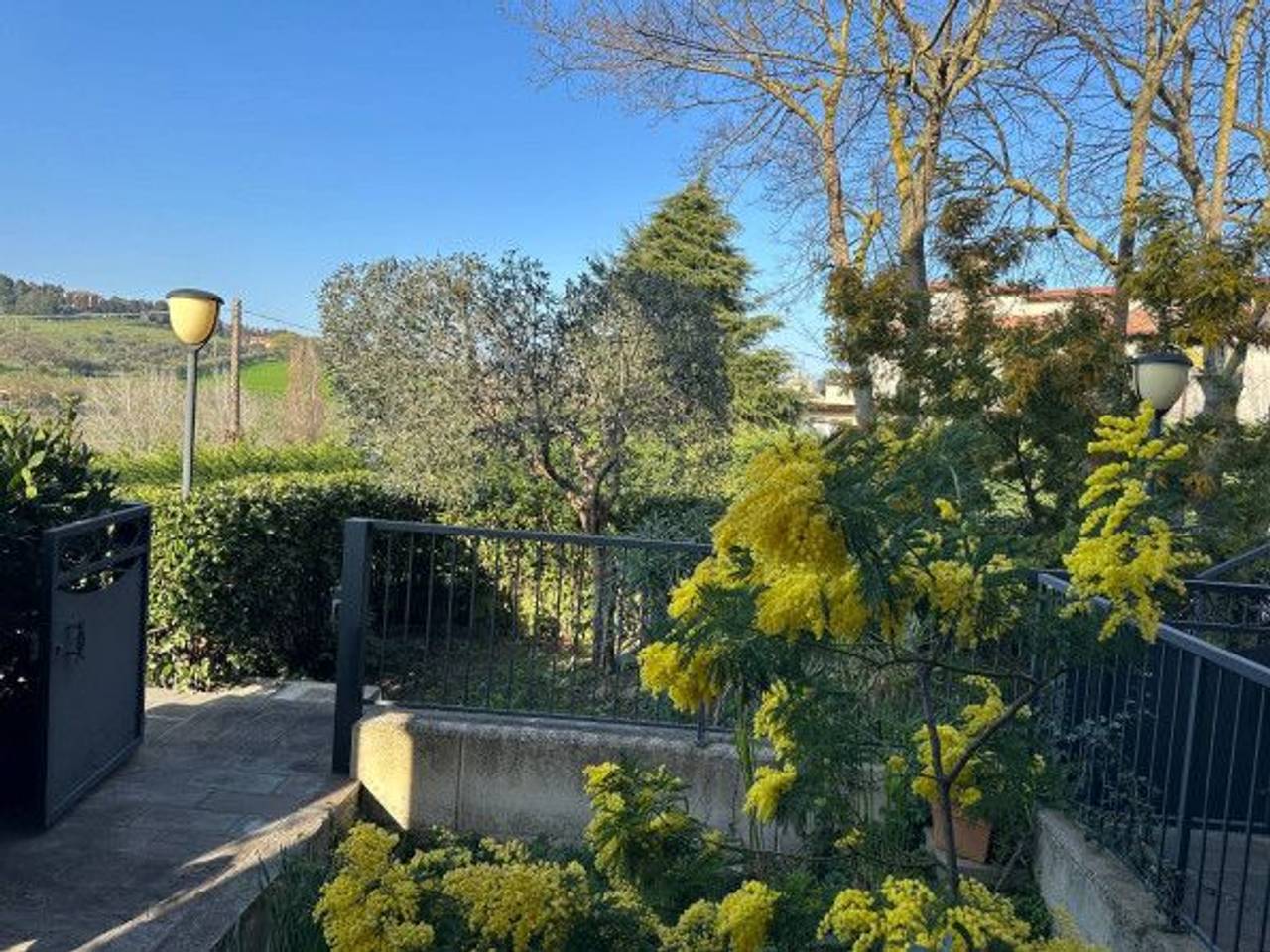 immagine annuncio 5 di 7