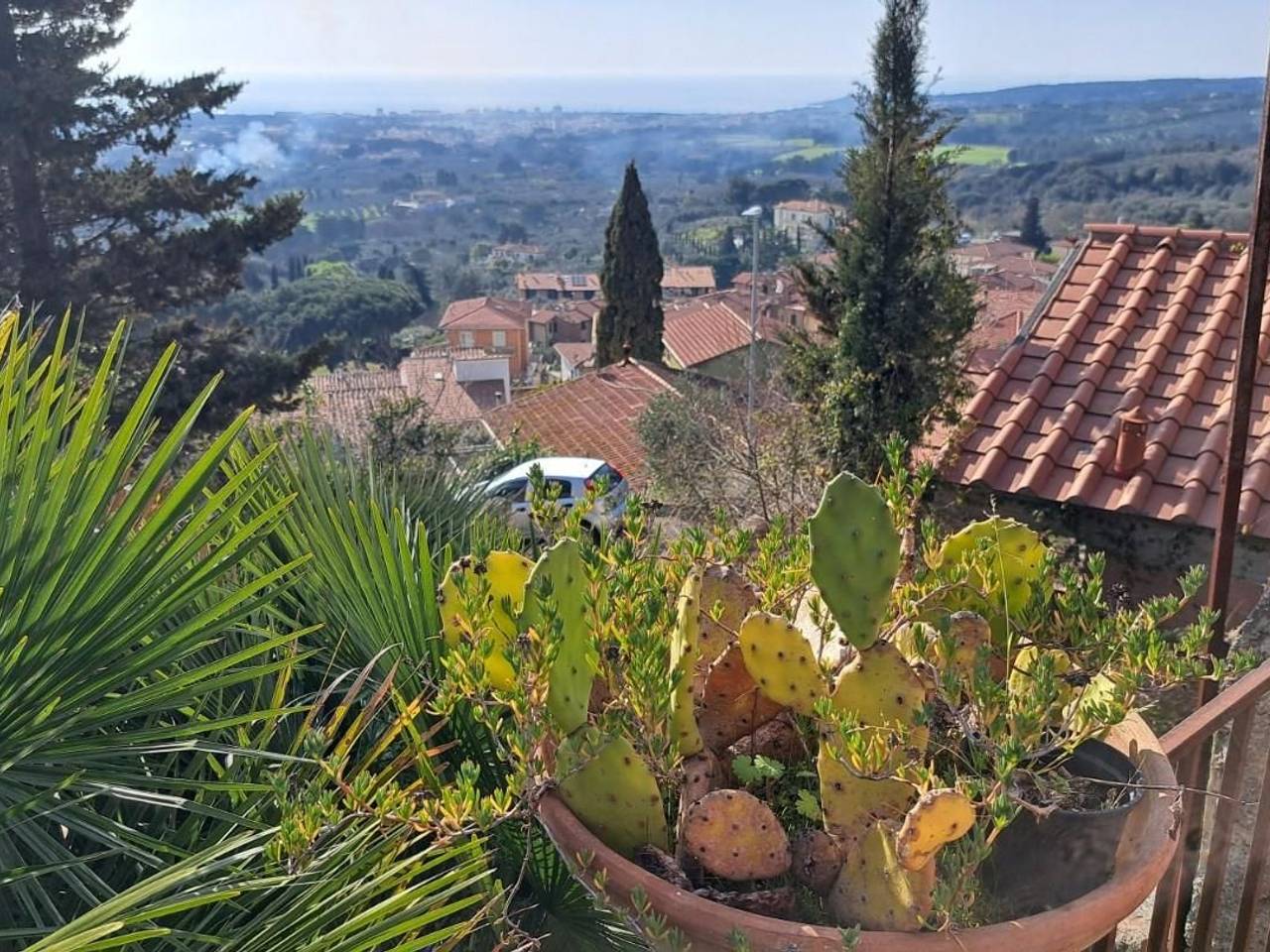 immagine annuncio 4 di 14