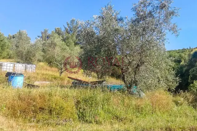 Terreno agricolo, Livorno - Foto 1