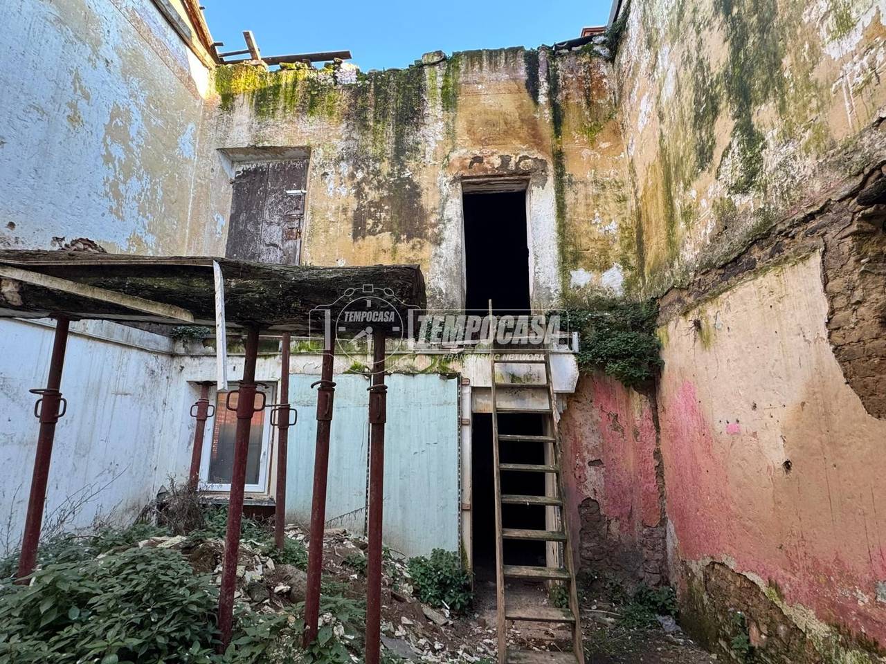 immagine annuncio 2 di 11