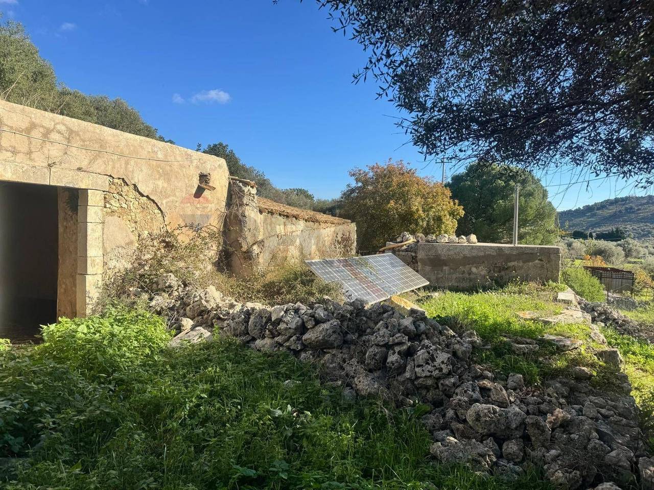 immagine annuncio 3 di 14