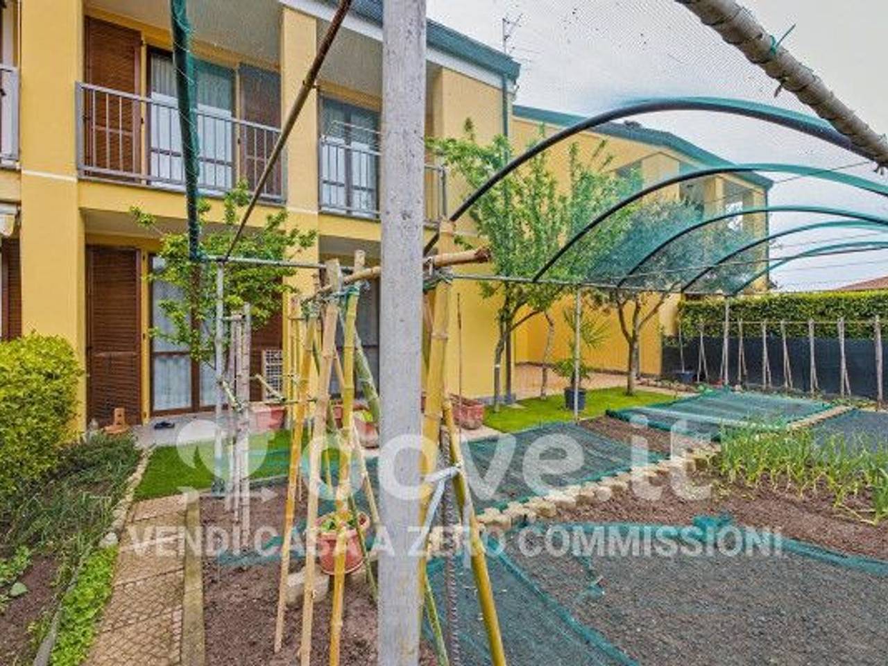 immagine annuncio 1 di 15