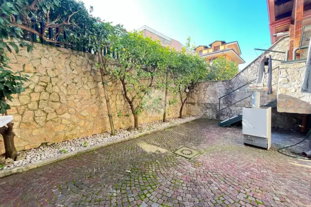 insertion image