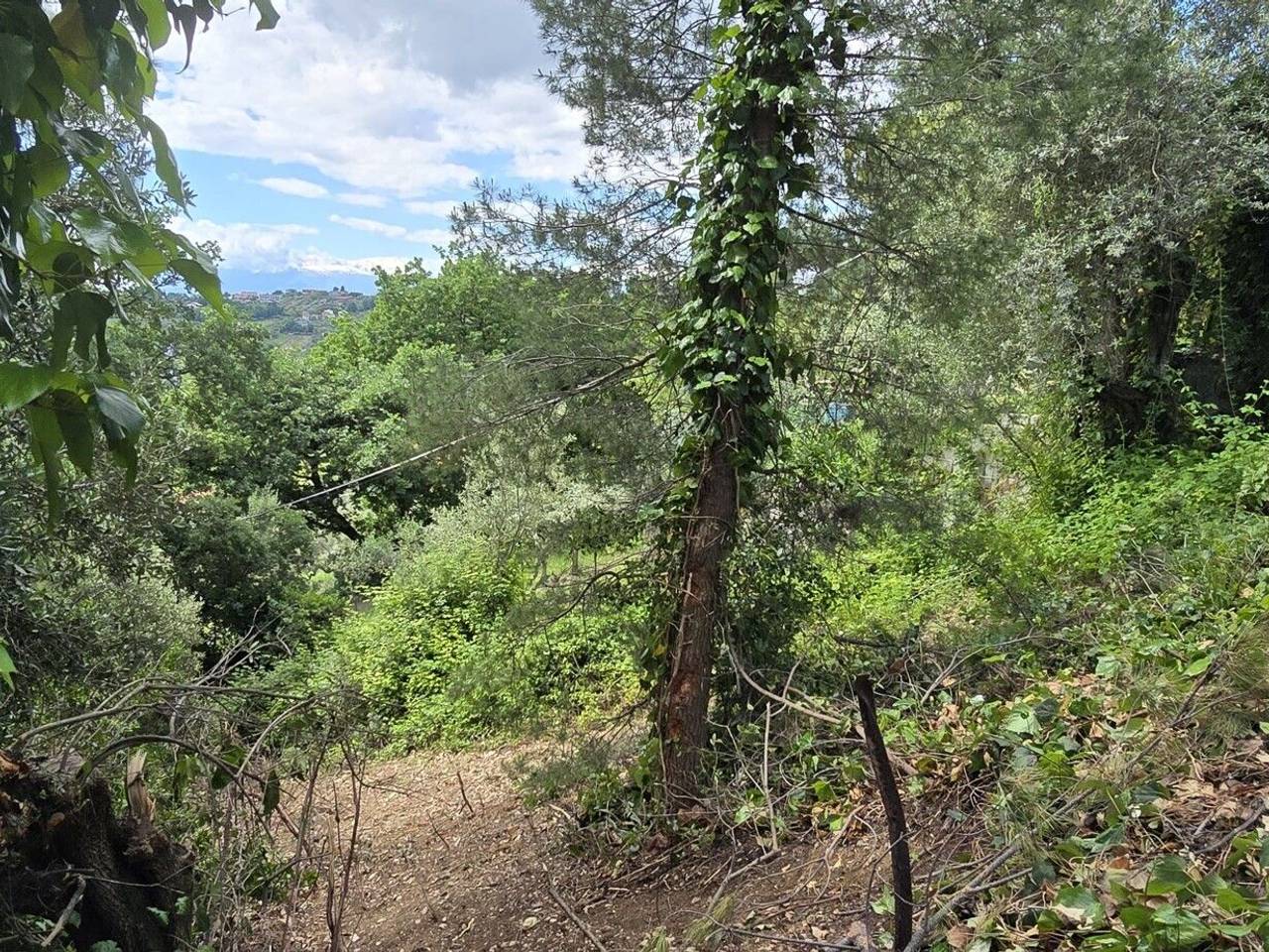 immagine annuncio 7 di 14