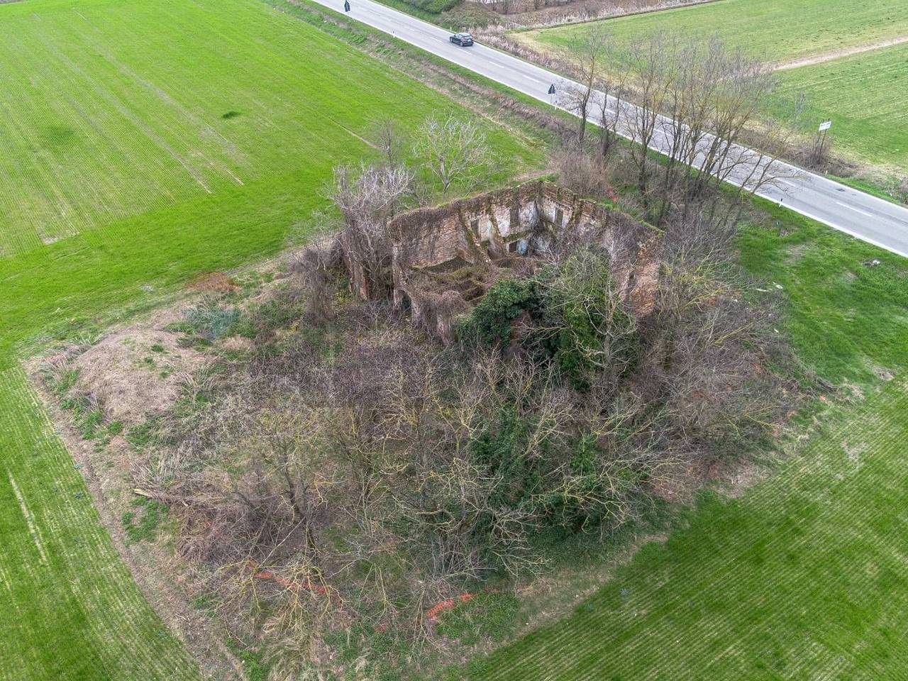 immagine annuncio 4 di 15