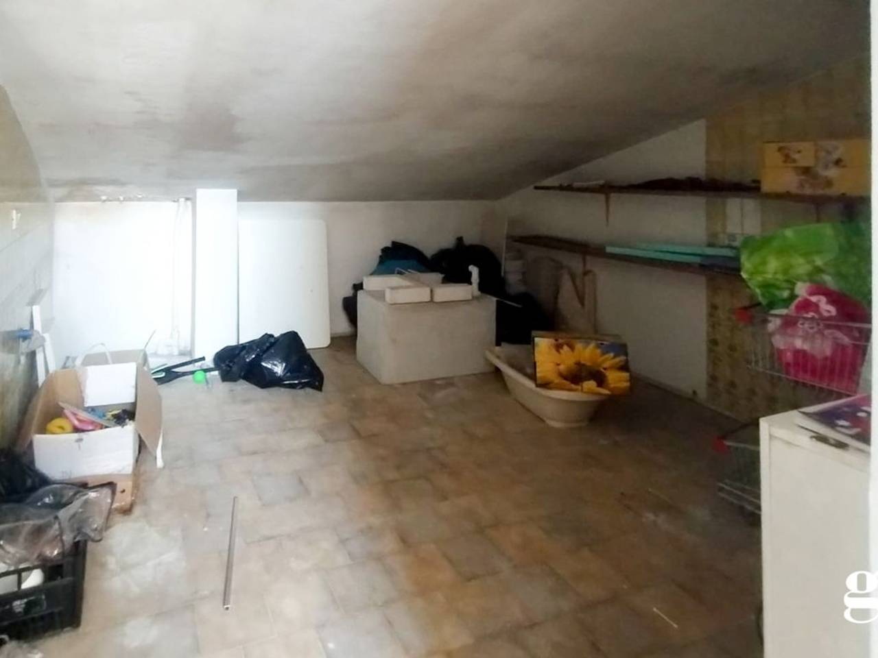 immagine annuncio 12 di 13