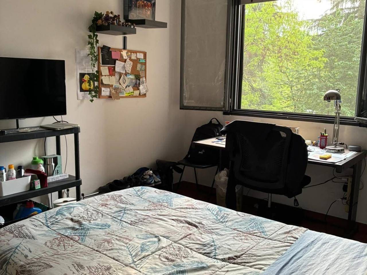 immagine annuncio 2 di 6