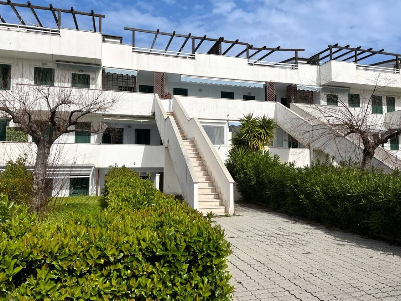 immagine annuncio 2 di 11