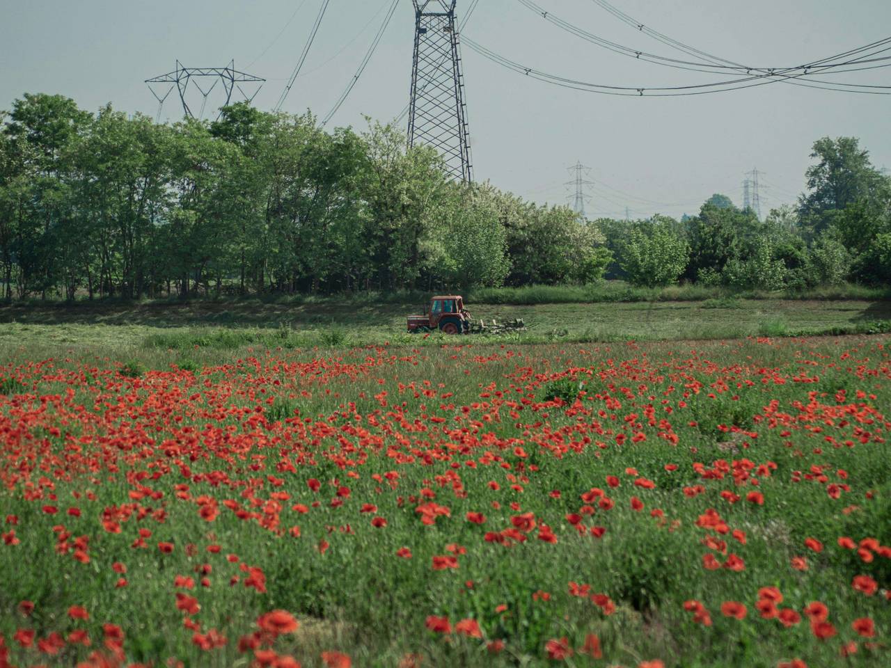 immagine annuncio 6 di 10