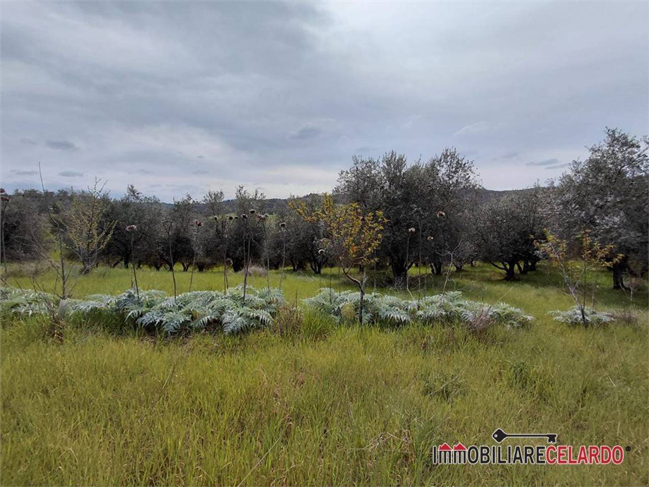 immagine annuncio 5 di 13