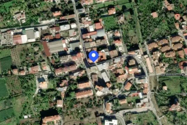 insertion image