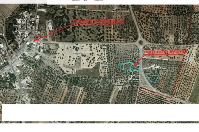 insertion image