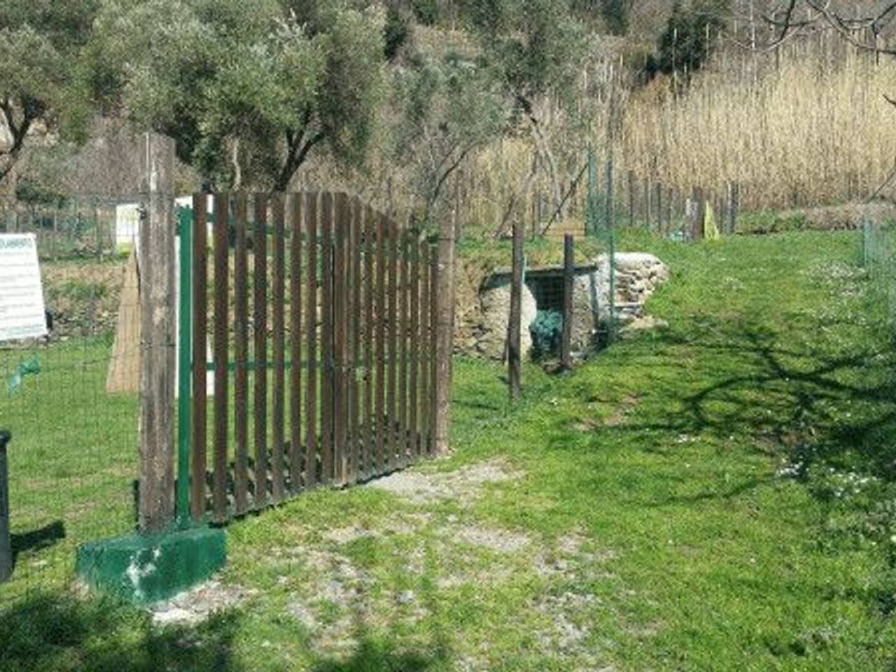 immagine annuncio 11 di 14