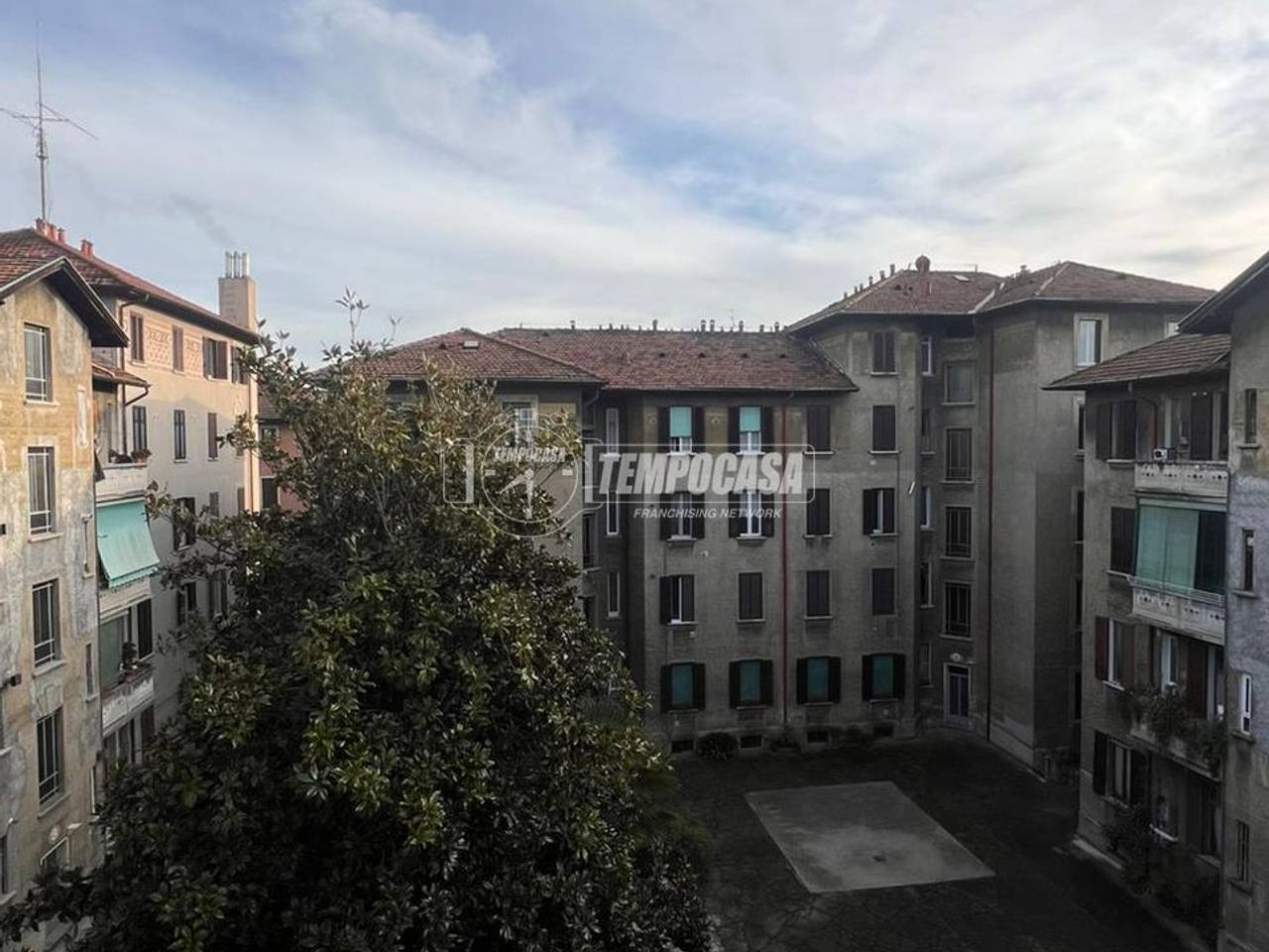 immagine annuncio 6 di 15