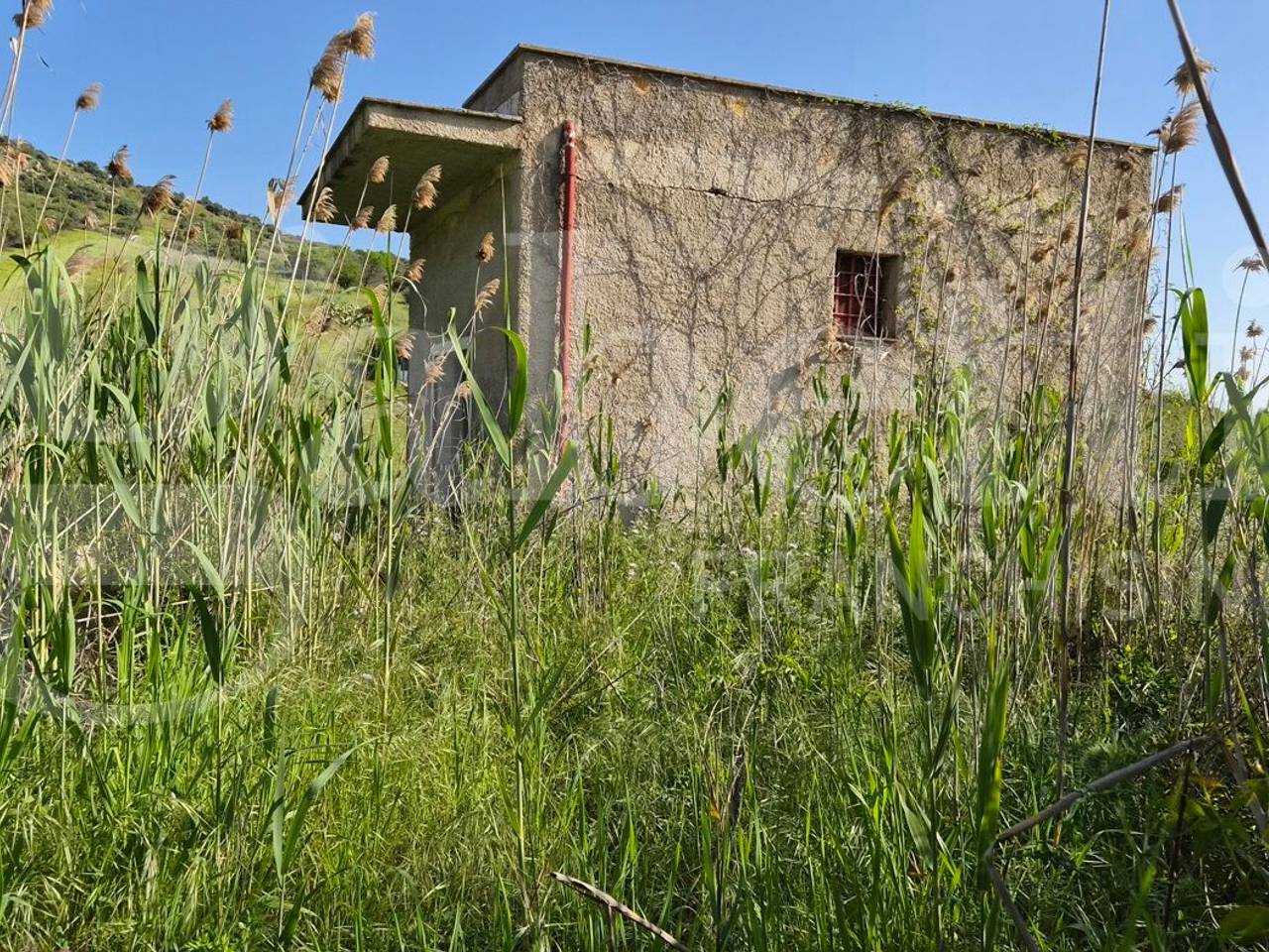 immagine annuncio 4 di 8
