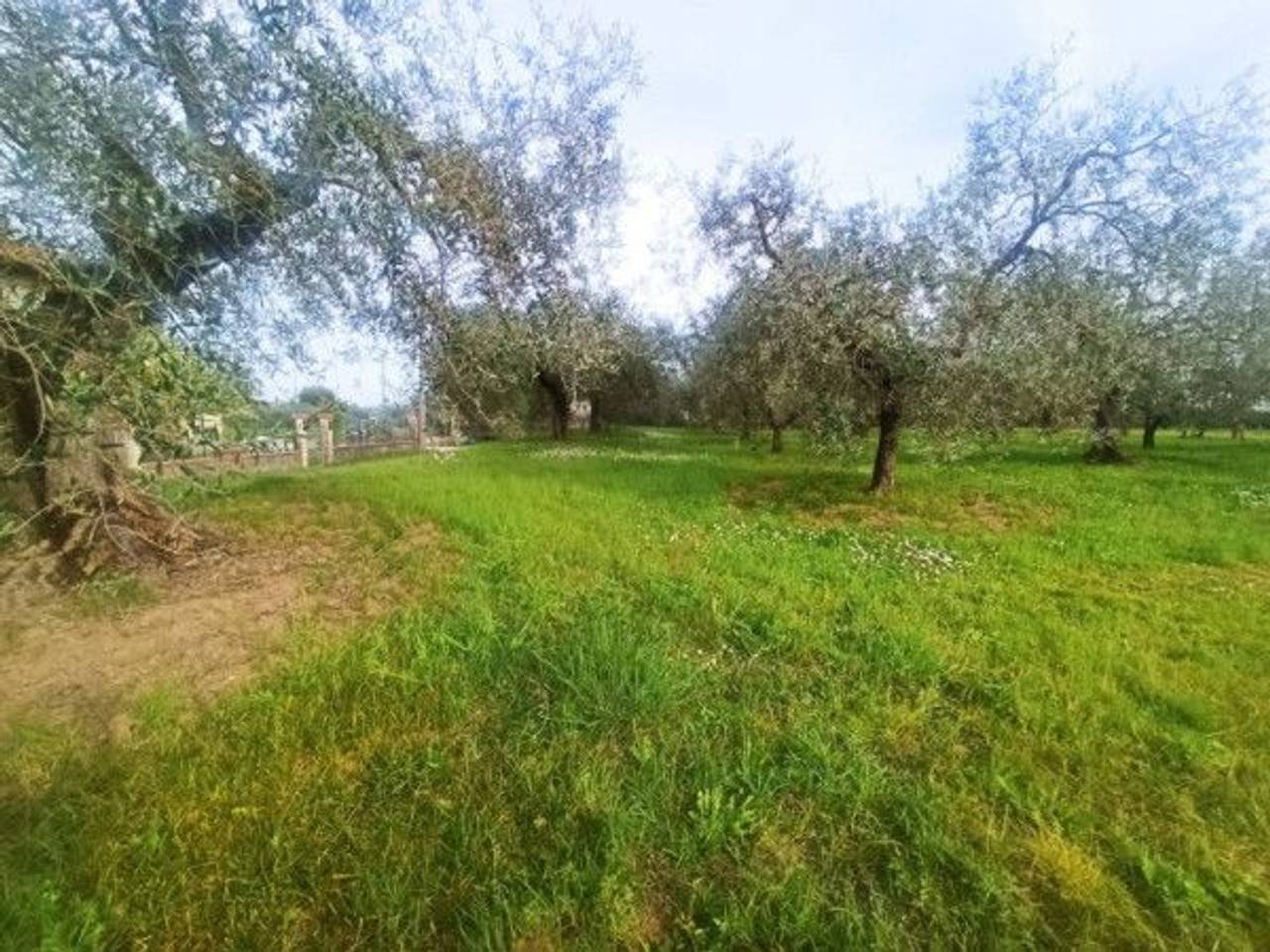 immagine annuncio 7 di 10