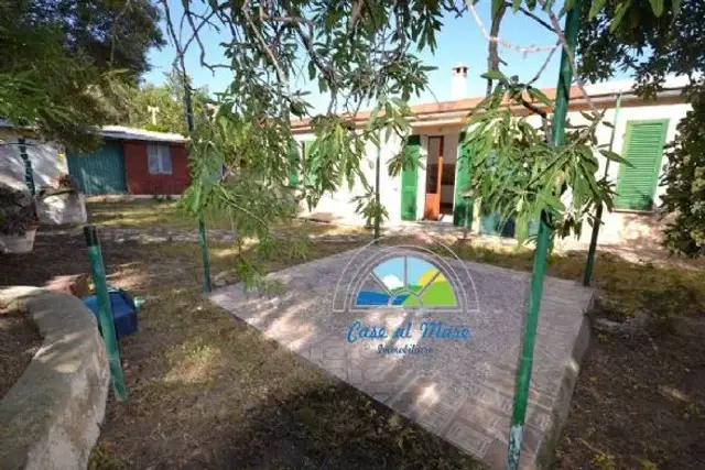 insertion image