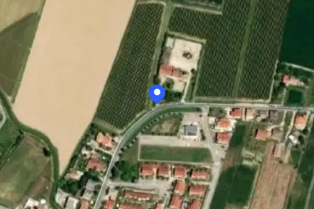 insertion image