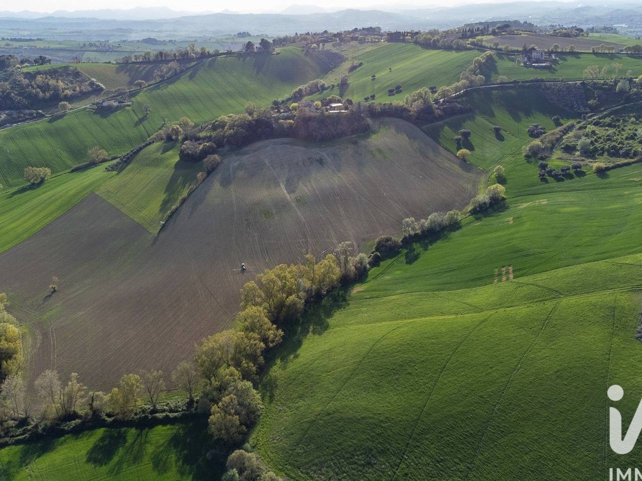 immagine annuncio 13 di 14