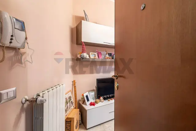 insertion image