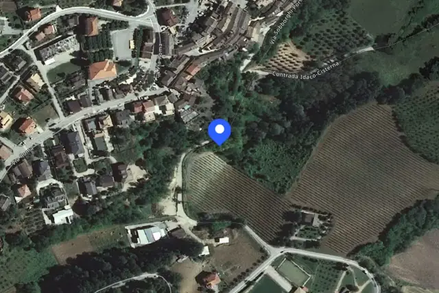 insertion image