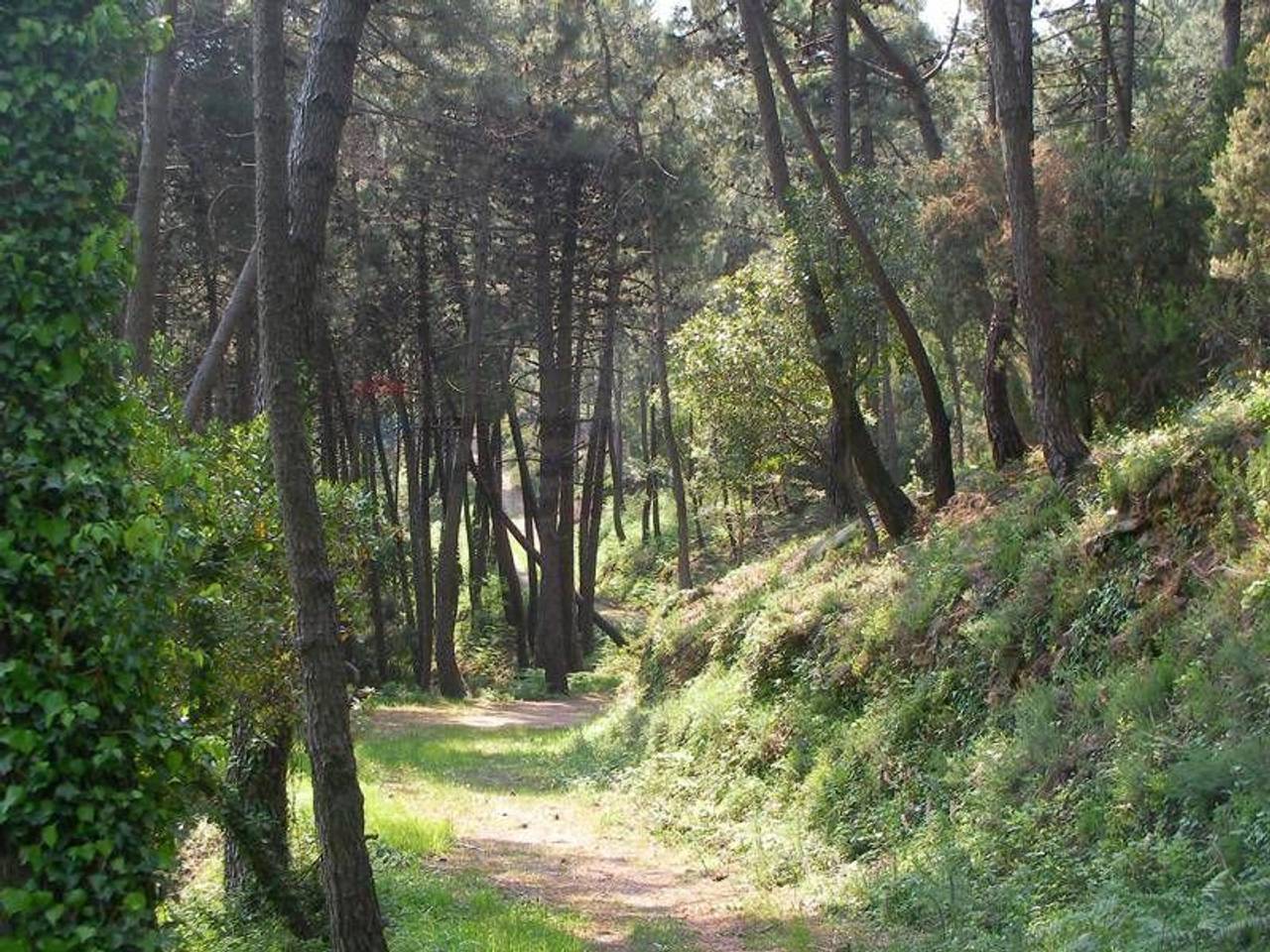 immagine annuncio 6 di 11