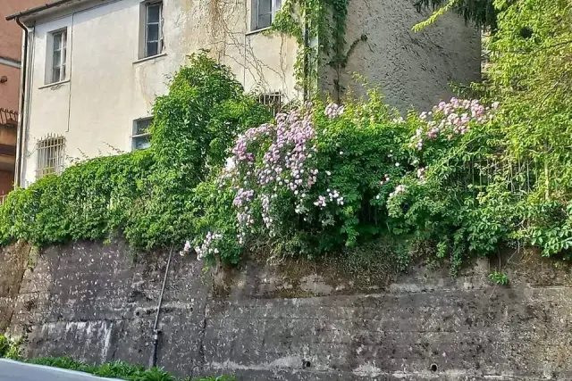 Casa indipendente, Pietrasanta - Foto 1