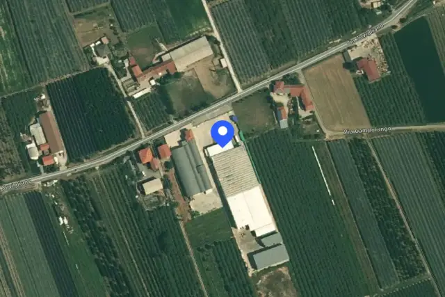 insertion image