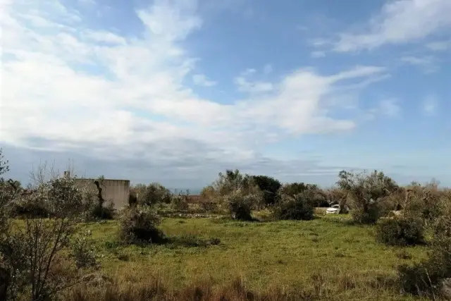 Terreno agricolo in Località Volito S.N.C., Patù - Foto 1