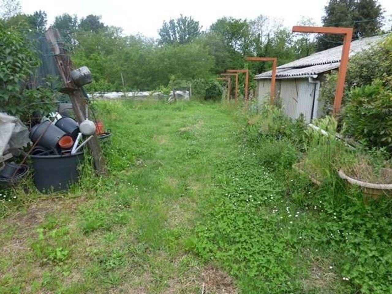 immagine annuncio 4 di 12