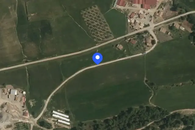 insertion image
