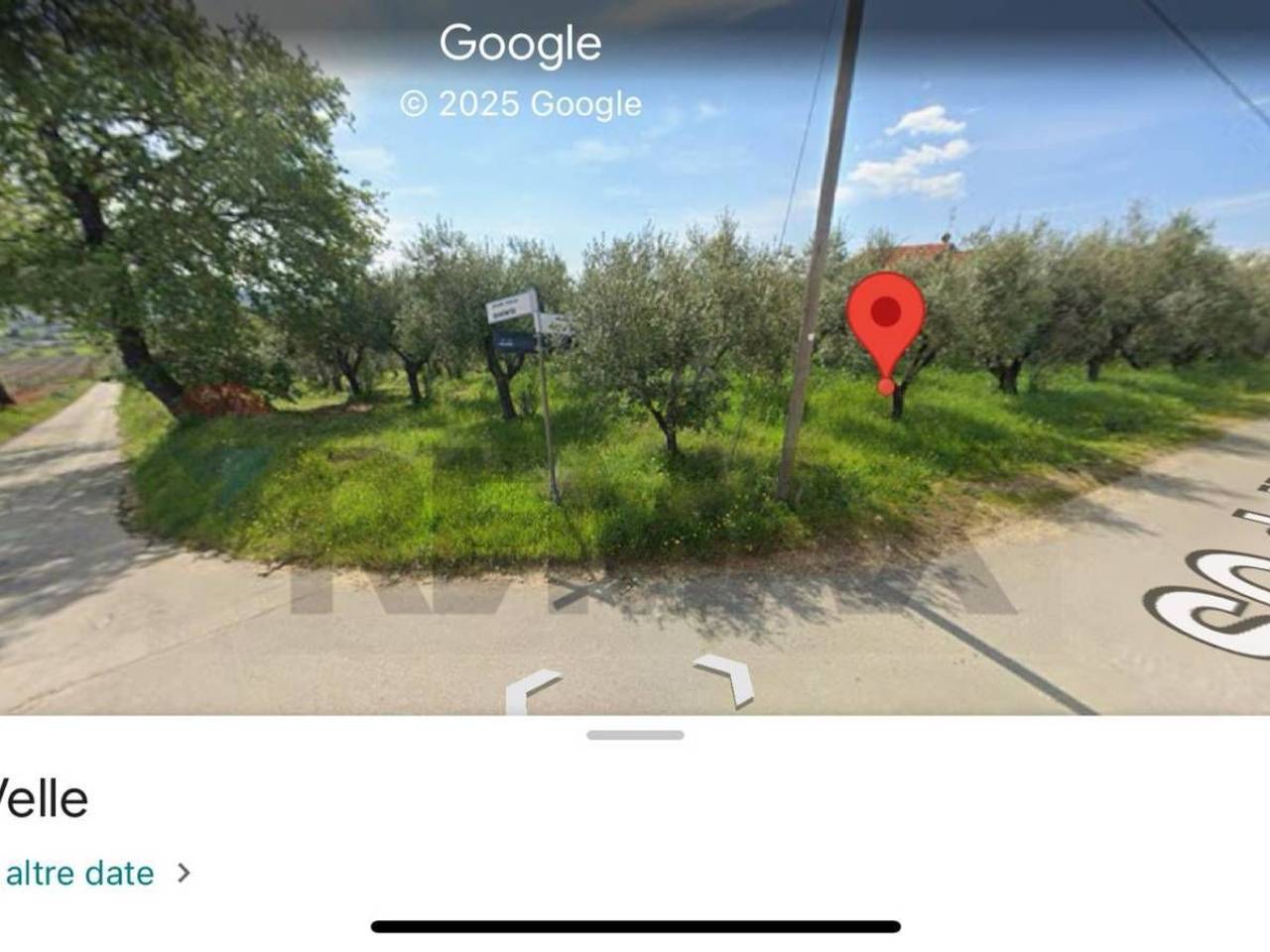 immagine annuncio 5 di 6