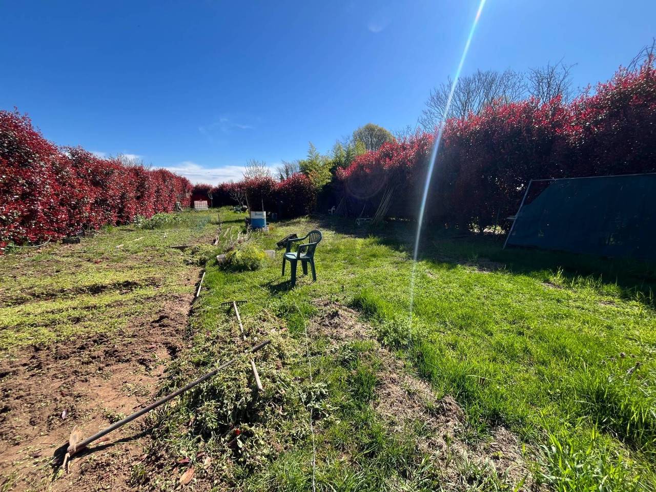 immagine annuncio 4 di 8