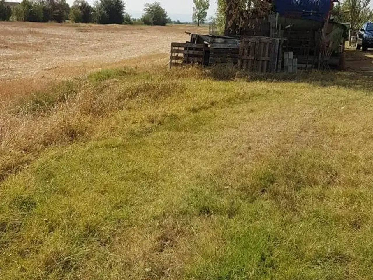 Azienda agricola in , Bagnolo In Piano, {3} - Foto 2