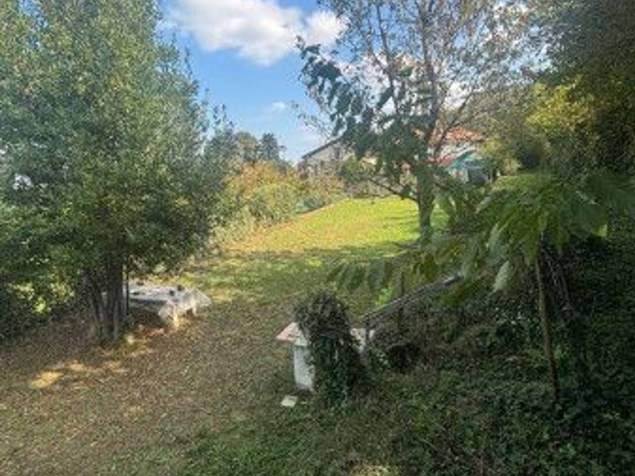 immagine annuncio 3 di 9