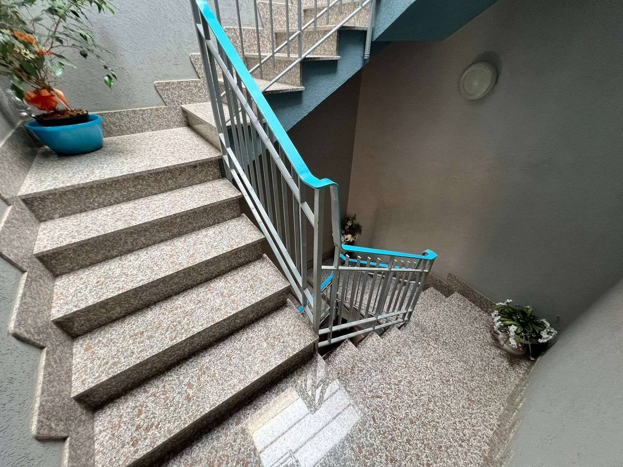 immagine annuncio 7 di 13