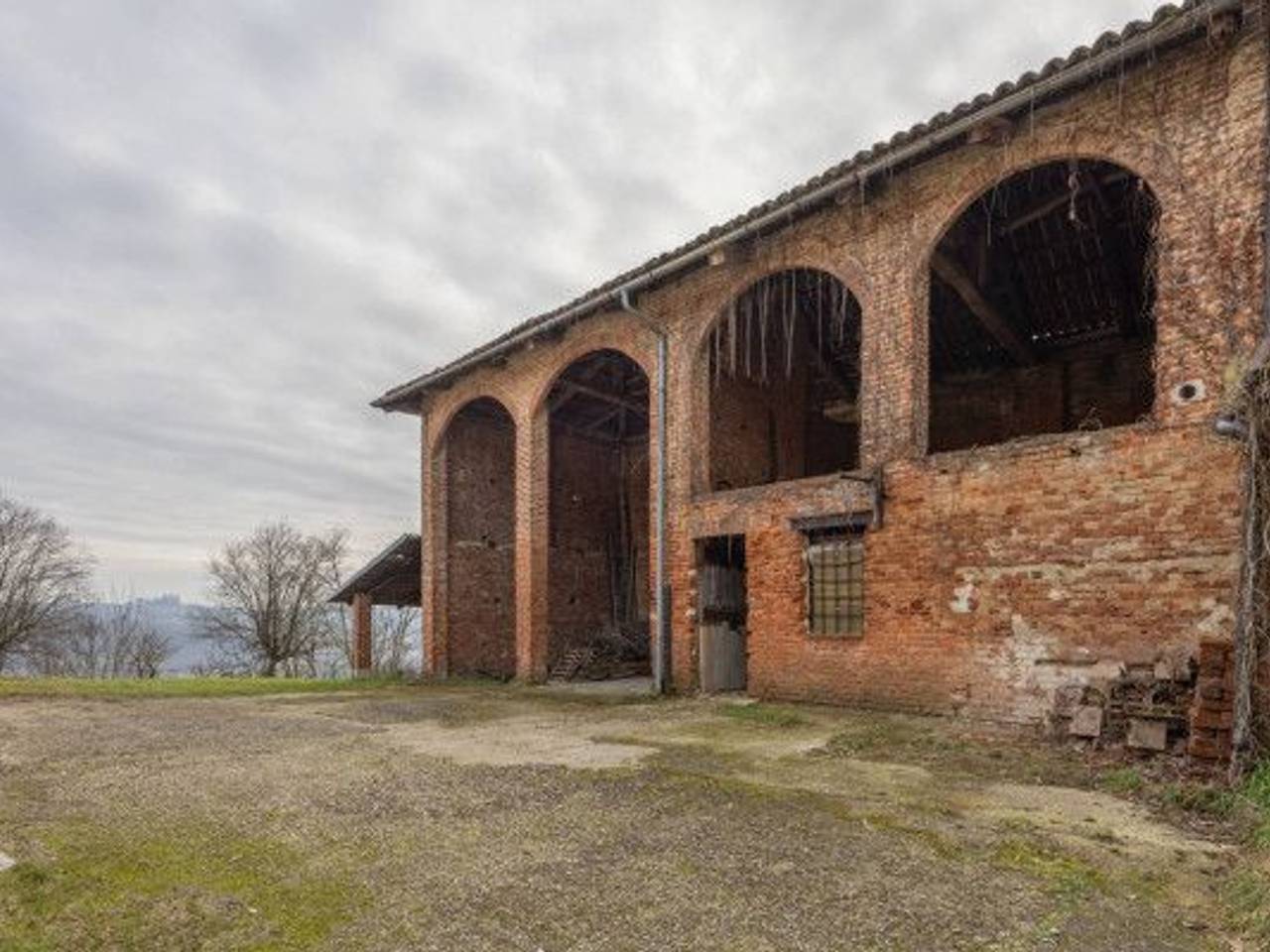 immagine annuncio 13 di 14