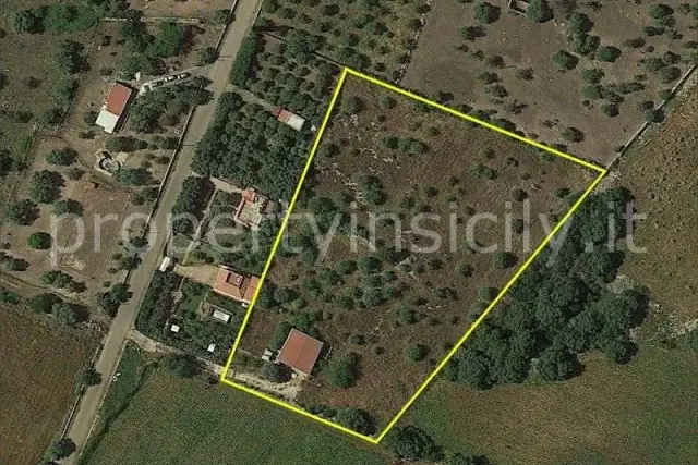 insertion image