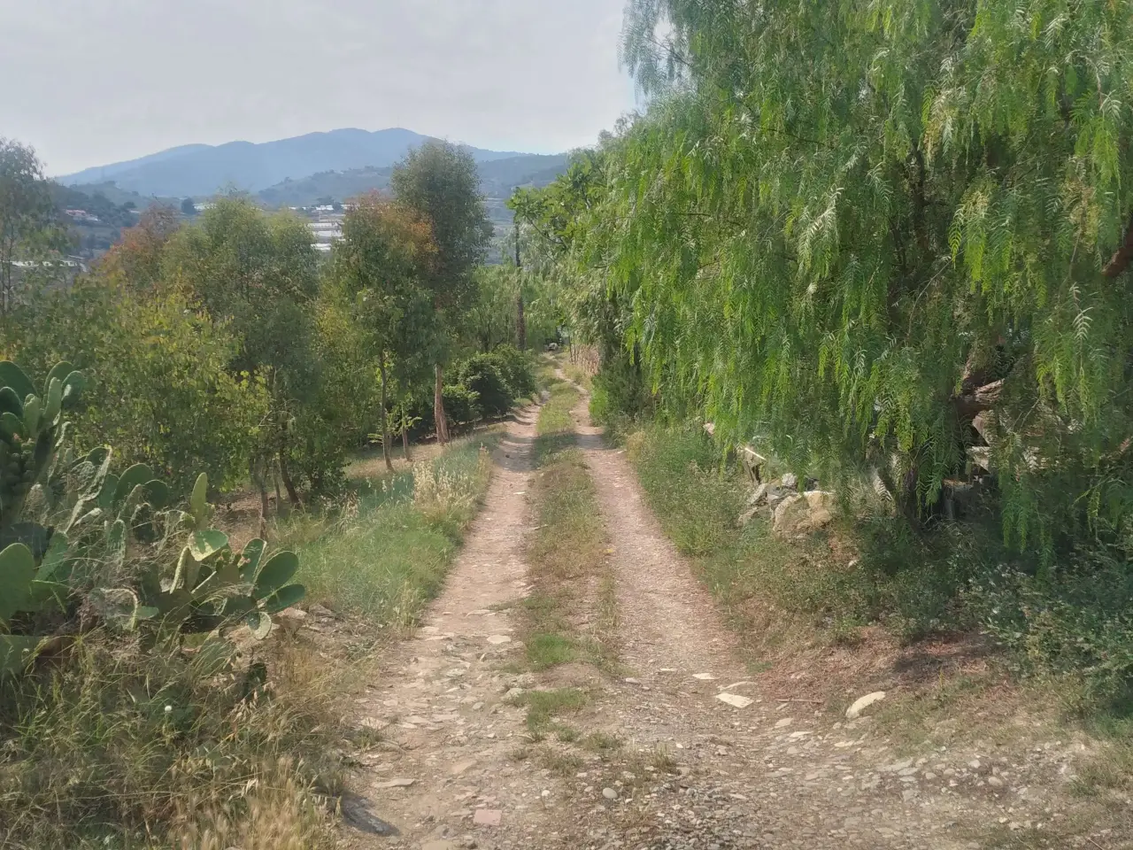 Capannone in Strada Ciousse, Sanremo, {3} - Foto 1