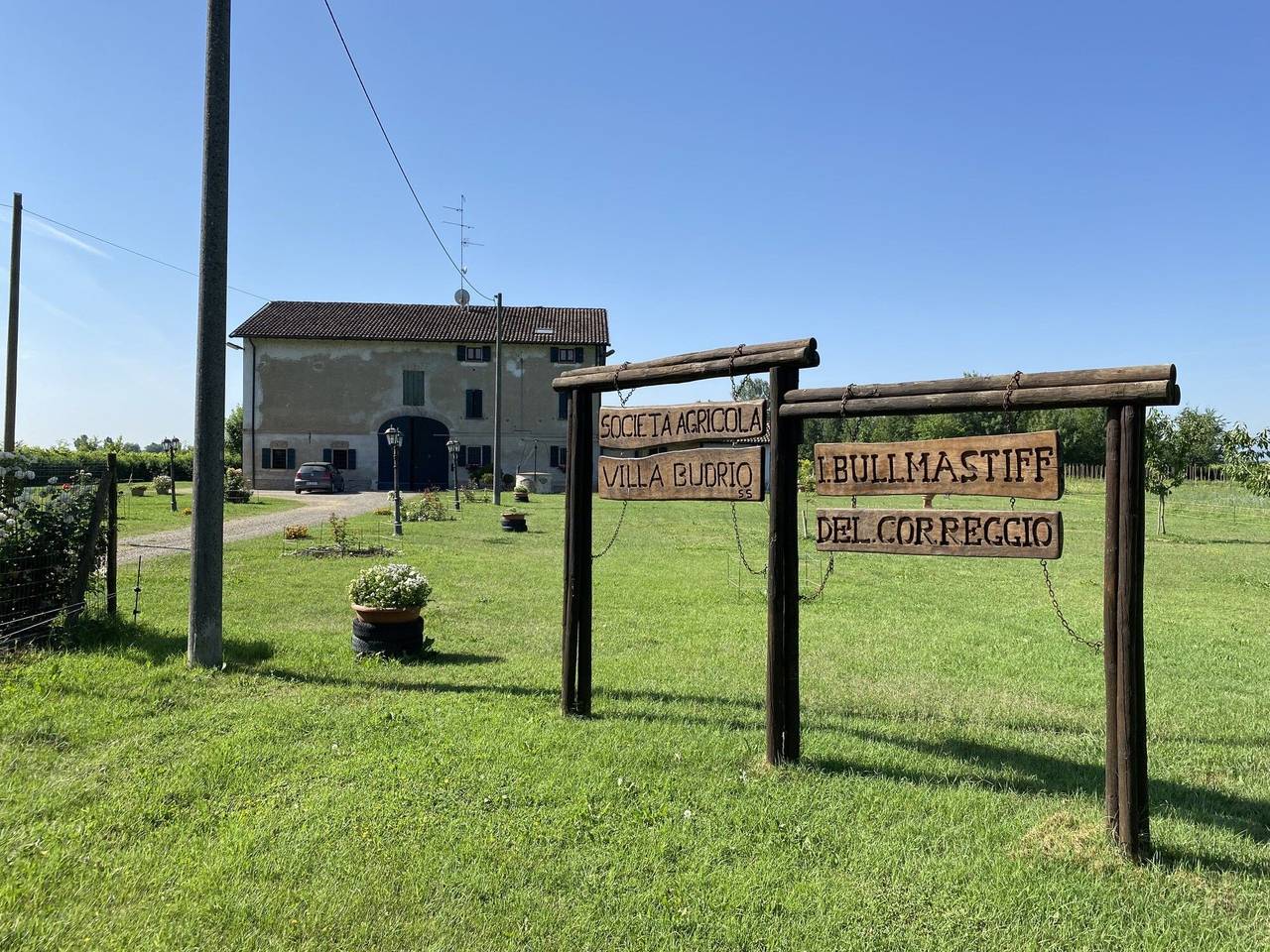 immagine annuncio 14 di 15