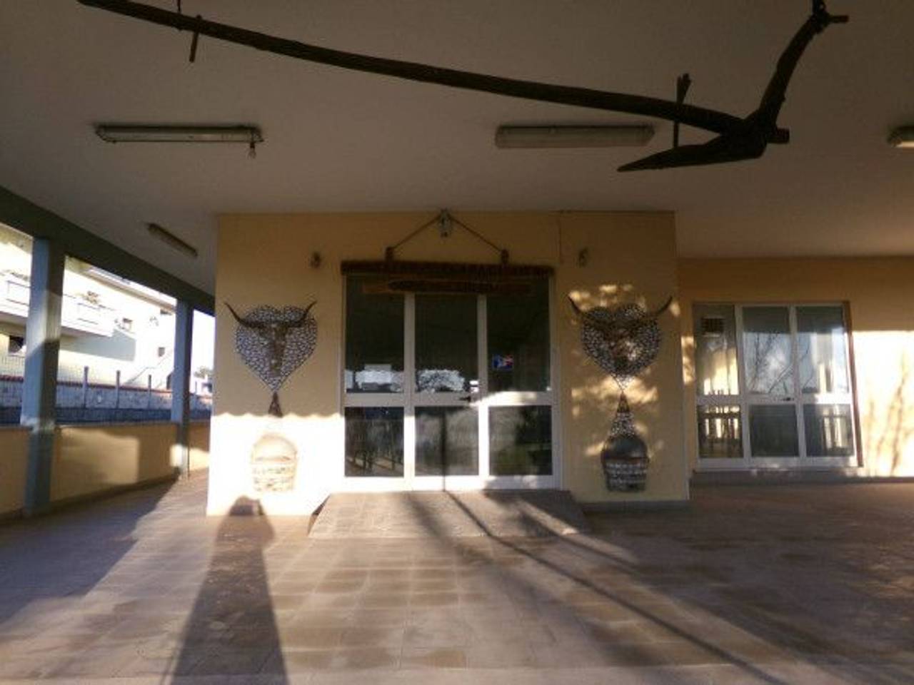 immagine annuncio 9 di 14